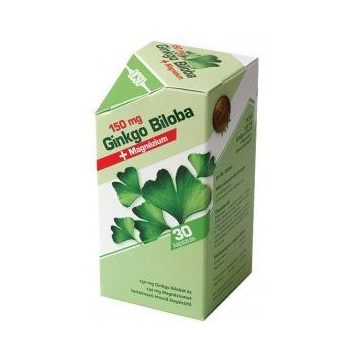 OCSO Ginkgo Biloba + Magnesium Kapseln 30St